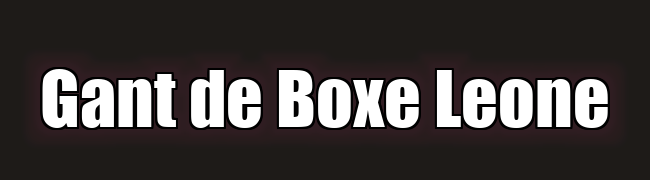 Logo Leone site gants Italie